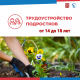 Агентство занятости Петродворцового района приглашает подростков