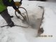Благодарность за прочистку водопропускных труб