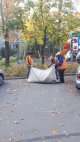 Листья жёлтые над городом кружатся 