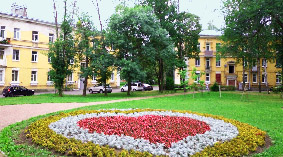 К вопросу о розе и вечнозелёной берёзе