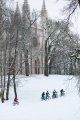 Александрия нравится велосипедистам и летом, и зимой