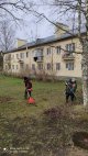 Опрос по качеству весенней уборки