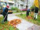 Опрос жителей города по оценке качества проведения осенней уборки