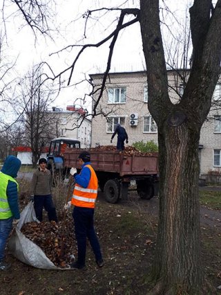 Оцените качество осенней уборки через онлайн опрос