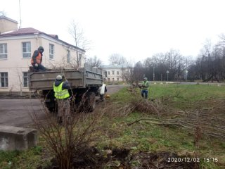 Рядом  с болотом не хочется жить 