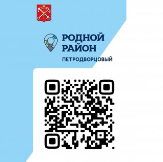 Выбираем флагманский проект в Петродворцовом районе