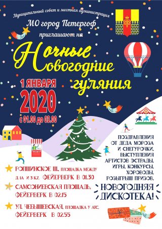 Ночные новогодние гуляния