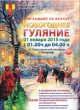 Ночные новогодние гуляния
