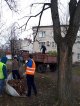 Оцените качество осенней уборки через онлайн опрос