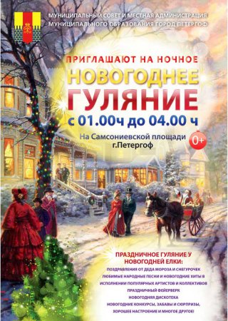 Ночные новогодние гуляния