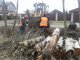 Оцените качество весенней уборки через он-лайн опрос