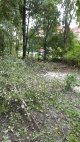 После шторма
