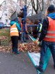 Листопад пока не закончился