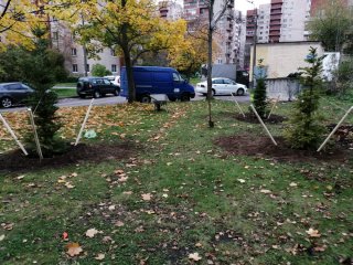 Сами посадили – сами будем поливать 