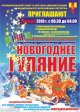 Праздничные гуляния в новогоднюю ночь