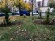 Сами посадили – сами будем поливать 