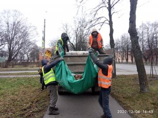 Листьев убавилось на один день