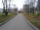 Без конца и без края листва 