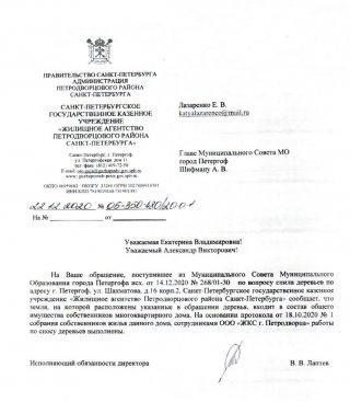 Вышли из тени