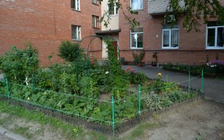 Петергофская достопримечательность на ул. Зверинской.