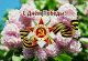Поздравляем с Днём Победы!