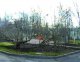 Осенняя подрезка деревьев и кустарников