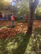 Шуршат по всему городу