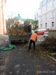 Опрос жителей города в целях оценки качества проведения осенней уборки