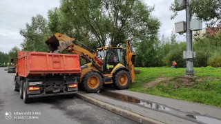 В каждой шутке есть доля шутки