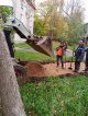 Главное – чтобы погода не подвела