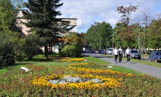 «Петергоф – город цветов»