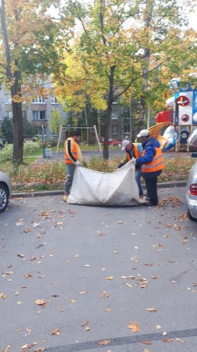 Листья жёлтые над городом кружатся 