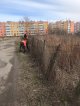 Месячник благоустройства продолжается