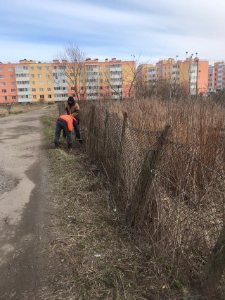 Месячник благоустройства продолжается
