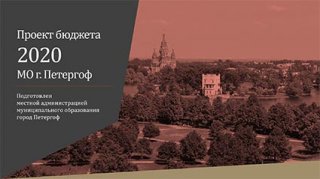 Публичные слушания по обсуждению проекта бюджета МО г. Петергоф на 2020 год