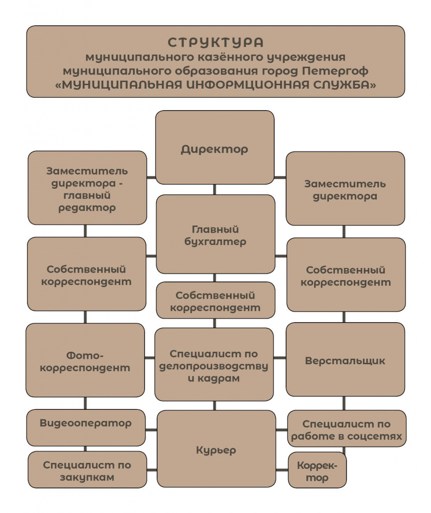 Структура МКУ МИС.jpg